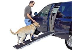 Shop Dog Ramps